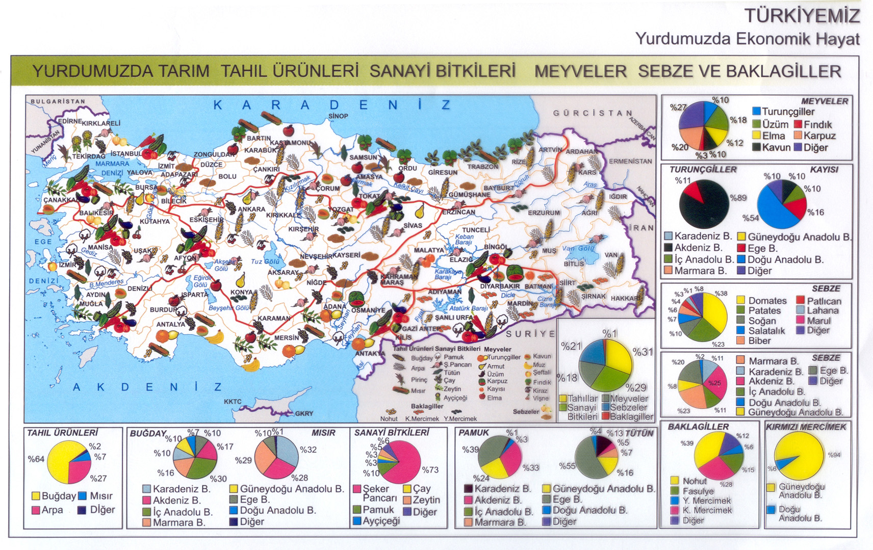 turkiye-tarim-urunleri-haritasi.jpg