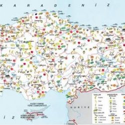 turkiye_ekonomik_faaliyet_haritasi