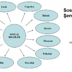 sosyal-bilimler-semasi.jpg