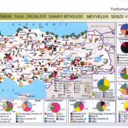 turkiye-tarim-urunleri-haritasi.jpg