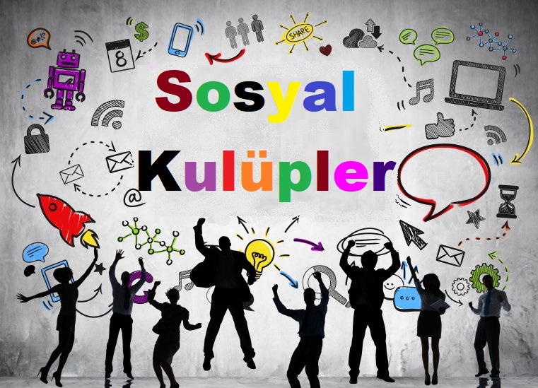 www.sosyalbilimciler.com